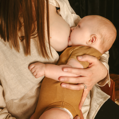 Multi-Size Nipple Shield Kit for Breastfeeding Support